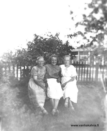 Uusitalon naisväkeä
Kuvassa vas. tuntematon, keskellä Hilma Uusitalo (Uusitalo 23 ?) ja oikealla Anna Uusitalo (s. 1904, m. Palo, Uusitalo 22).
Keywords: Uusitalo Palo 