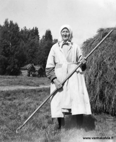 Feemi Rautio niitulla
Feemi Rautio (Rautio 13) Jokiniitulla haravoimassa. Feemi (Maria Eufemia) syntyi vuonna 1887 Ashtabulassa, Ohiossa. Hän palasi vuonna 1889 vanhempiensa Kallen (Korkiala 2) ja Anna Lovisan (Pietinkoski 3) mukana Kälviälle asumaan Raution taloa, joka oli hankittu Amerikan tienesteillä.  
Keywords: Rautio Korkiala Pietinkoski Ashtabula Ohio USA 