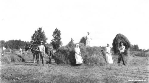 Heinänkorjuussa Penttilässä
Heinänkorjuussa Justus Penttilä Markku-hevosineen (Penttilä 27). Toinen vasemmalta Justuksen sisar Esteri Penttilä (1886-1961, Penttilä 27) ja toinen oikealta Kerttu Tapio (Penttilä 40). 
Kaksi henkilöä on vielä tunnistamatta. Laittaisitko sähköpostiviestin osoitteeseen vanhat.kuvat@vanhakalvia.fi jos tunnistat henkilöitä. Kiitos avustasi! 
Keywords: Penttilä Tapio 