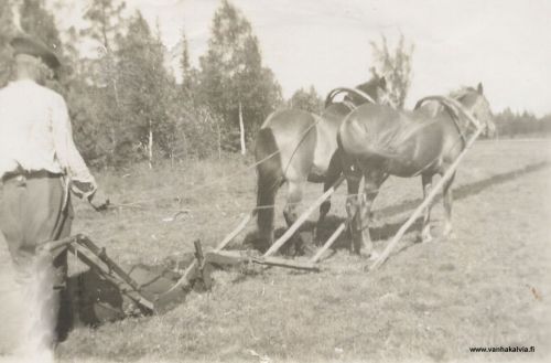 Fälttäystä Palolla
Jani (Juho) Palo fälttäämässä vuonna 1941.

Keywords: Palo Sandvik 