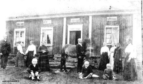 Kallentupa Järvellä, Ruotsalolla
Kalle ja Maria Järvi perheineen ja naapureineen Kallentuvan edessä Ruotsalon Järvellä.
Vasemmalla Kalle Järvi. Käsikkäin olevat tytöt: vasemmalla Emma Porko (m. Adams) (Porko 13) ja oikealla Hilma Sofia Järvi (m. Penttilä). Seuraavana Maria Järvi ja hevosta pitelevä Alfred Järvi. Sitten Feemi (Maria Eufemia) Järvi (m. Kippo) ja hänen vieressään naapuri, Emmi (Maria Emilia) Järvi (Järvi 24). Tummassa asussa Lilia Sofia Järvi ja oikealla Emma Lovisa Järvi (m. Vahe). Pojat: vasemmalla Jalmari (Antti Hjalmar), keskellä Aatu (Otto Adolf) ja oikealla Ensti Järvi.
Kallen ja Marian kuvassa olevista lapsista lähtivät Amerikkaan Hilma Sofia, Alfred ja Ernst. Sinne meni myös vanhin lapsista, Kalle, joka ei ole kuvassa.
Keywords: Järvi Penttilä Porko Adams Kippo Vahe Haapavesi Astoria Oregon USA 