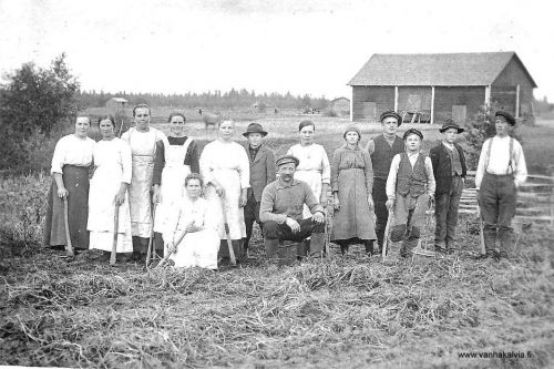 Perunannostoa Kleemolassa
Kuvassa vasemmalta lähtien 
Vieno Korpijärvi o.s. Kuorikoski, Aili (Korpijärvi?), Lusina Honkala, Lyyli ?, Elisabet Kleemola istumassa edessä (Kauno Kleemolan äiti), Jenny (?), sitten Kauno Kleemola nuorena ja hänen isänsä Antti Alfred, Meeri (?) Elsa (Kerola?), Eino Mäntysaari, Yrjö Korpijärvi, Arvi (Korpijärvi?) ja Ensti (?). 
Keywords: Korpijärvi Kuorikoski Honkala Kleemola Mäntysaari