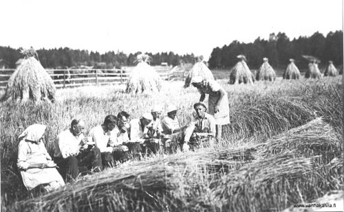 Elonkorjuussa Lukkarinmäellä 1937
Lukkarinmäen Kallentuvan pellolla 1937. 
Tämä Kallentupa on ehkä Pernu 51 (Juuret Kälviällä 2, s. 353).
Keywords: Pernu