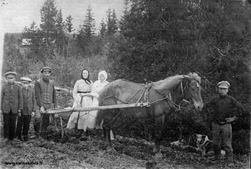 Mansikkamäen väkeä
Kyntö- tai ehkä tarkemmin perunanistutuksen aikoihin otettu kuva Mansikkamäestä. Kuvassa on Eetu (s. 1888, Riihimäki 13) ja Iida (1872-1964, Maajärvi 10) Mansikkamäen perhe sekä piika eli “palvelija” Elsa Junnola (Luoto 25). Perhe myi tilan ja muutti Syväjärven (Syväjärvi 18) kautta Kokkolaan vuonna 1934 ja takaisin Kälviälle 1945. Saharoissa Eetu ja puolisonsa Iida mustaan huiviin pukeutuneena. Veljessarja: suitsissa Niilo (s. 1905, vuonna 1927 Australiaan), Eetun vierellä hännänhuippu “pikku Pentti” (s. 1909, vuonna 1945 takaisin Kälviälle, e. Koskelan torppa, Knuutti) ja laitimmaisena vasemmalla Eero (s. 1908, jäi perheineen Kokkolaan).
Keywords: Mansikkamäki Riihimäki Maajärvi Syväjärvi Koskela Knuutti Australia