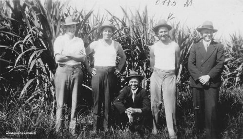 Otto Maunumäki Australian Queenslandissa
Otto Maunumäki (Maunumäki 39) kuvassa toisena oikealta. Muut miehet tuntemattomia.
Keywords: Maunumäki Australia Queensland