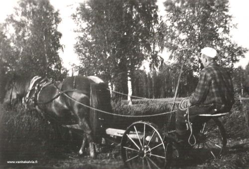 Heinänkaadossa
Taimi Pajala kaataa heinää.
(Pajala 20, Palo 8)
Keywords: Pajala Palo 