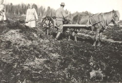 Palon pellolla 1942
Jani, Hilda ja Kaisa (Liina Katariina) Palo peltotöissä 1942 (Palo 8). 
Palo on ollut Peltokorven Krekilän talon torppa, joka sijaitsee Välikylässä ja maanmittarien kartassa Palo on Peltokorpea. Tie Paloon lähtee Ullavan tieltä Hillin taloryhmän takaa korkean mäen päältä ja on asukkaiden kannalta käytännössä Välikylää. 
Keywords: Palo Sandvik