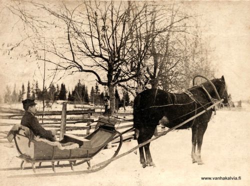 Rekiajelulla
Jooseppi Kivelä (s. 1860) ja Polle.
(Kivelä 2)

Keywords: Kivelä