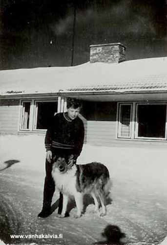 Antti Kalajo ja Taru-koira
Antti Kalajo ja Taru-koira Alavainiolla Keski-Pohjanmaan kansanopiston johtajan asunnon ”Johtolan” pihalla talvella 1958.
Keywords: Kalajo