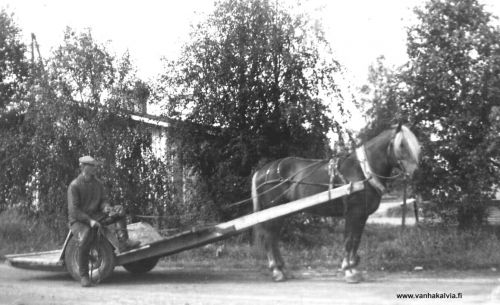 Vilho Hankaniemi ja ori Tarmi
Vilhon silmäterä ori Tarmi syntyi Ylivieskassa Martti Haapakoskella 1956. Vuonna 1961 Seinäjoella Tarmi kirjattiin hyvillä arvosanoilla kantakirjaan. Myöhemmin Tarmi vaikutti siitosoriina Kuortaneen oriyhdistyksessä. Kuva on vuodelta 1961, kuvauspaikka Ridantie, Kälviä.

Kärryt ovat nk. koukkulavat. Niillä helppo ajaa esim. sarkaojien yli. Aikansa huippumallit. Heinänajossa käytettiin levikkeitä, köysillä vedettiin kuorma nurin. Sonnanajossa koko patteri kyytille kerralla. 
Keywords: Hankaniemi