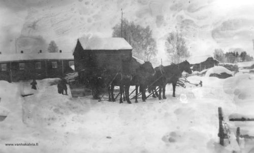 Lunta aurataan Asujamaassa
Hevosvetoinen lumiaura on liikkeellä Asujamaassa. Kuva luultavasti 1920-luvulta.
Keywords: Asujamaa