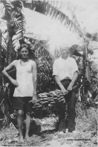 Eino Kuusiniemi ja Eefferi Harju Australiassa
Australian banaanisatoa keräämässä vas. Eino Kuusiniemi (Matinjussi 22) ja oik. Eefferi Harju (Harju 23). Miehet lähtivät Australiaan vuoden 1927 tienoilla, mutta palasivat sieltä takaisin kotimaahan. 
Keywords: Kuusiniemi Harju