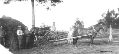 Niittuväkiä
Haravakoneen päällä Yrjö Kivelä. Ryhmässä keskellä Hugo Kivelä ja vasemmalla Topias Videnoja.
(Kivelä 2)

Keywords: Kivelä Videnoja 