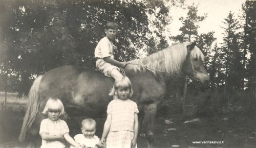 Kesäpuuhia Karikassa
Hevosen selässä Valter Toivonen ja edessä Uno Valentin Karikan kolme tyttöä vas. Anja (s. 1924), Liisa (s. 1928) ja Kerttu (s. 1922) (Karikka 24, Aho). Valter ja tytöt ovat serkuksia.

Keywords: Toivonen Karikka 