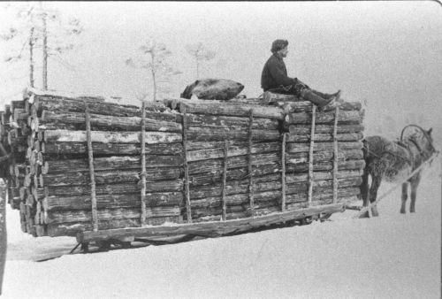 Hirsimetsän jäätiellä
Hirsimetsän 11 km pitkällä jäätiellä kulki vuonna 1937 ennätyskuormia. Kuormassa on 15 pinokuutiota puuta, ja se on kuvaan liittyvän tiedon mukaan Suomen suurin yhdellä kertaa kuljetettu propsilasti. Kuorman päällä on halsualainen seppä ja maanviljelijä Kasperi Kujala. Kuva on otettu Ullavassa lähellä Kälviän rajaa, kuvaaja Junnola. 

Keywords: Hirsimetsä Junnola Ullava Halsua Kujala