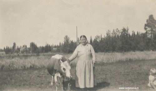 Johanna Lovisa Stark - Karikka 
Kuvassa Johanna Lovisa Karikka (s. Stark, s. 9.6.1867). Kuva on otettu otettu kesällä 1931 Ahon tilalla, josta käytettiin nimeä Suonperä.
Johanna Stark (Juuret Kälviällä, autonomian aika, s. 609, Karikka 20 ja Juuret Kälviällä II, s. 610-611, Karikka 24, Aho)



Keywords: Karikka Stark 