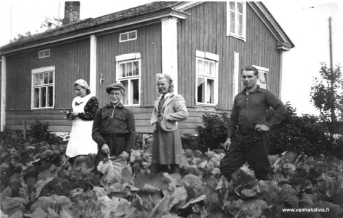 Järven kaalimaalla
Vasemmalla Linnea Järvi (m. Mukkala), Lauri Järvi ja oikealla Leevi Järvi (Järvi 28). 
Laurin ja Leevin välissä Järven sisarusten serkkutyttö Senni Rautio (m. Aho). 
Keywords: Järvi Rautio Mukkala Aho 