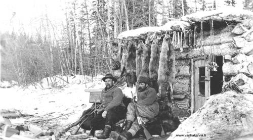 Eräkämpällä Kanadassa
Kuvassa on edessä Vilho Tapio (ent Renell) ja takana E. Melander. Odert Vilho Renell (1876-1951, Penttilä 40) oli rakennusmestari ja mm. laati piirustukset 1905 toteutettuun Kälviän kirkon korjaukseen. Vilho Renell teki ensimmäisen Amerikan-matkan 1905-1908. Palattuaan rakensi talon Penttilään ja otti sitten uuden passin 29.1.1909. 

Siinä vaiheessa oli nimi muutettu Vilho Tapioksi. Vilho Tapio oli myös erämies ja suuri luonnon ystävä, josta kertoo hänen 1914 tekemänsä eräretki Kanadaan, Athabasca-järvelle. Sinne pääsi vain samannimistä jokea pitkin ja jokimatkaa tuli 500 mailia. Kolme kaverusta rakensivat veneen, johon lastattiin yli tonni varusteita ja niin lähdettiin myötävirtaan. Päämääränä oli metsästää suurriistaa ja turkiseläimiä.

Kuva lähetetty Suutarinmäelle, Mr. Jalmar Pernulle 17.3.1914 Edmontonista, Kanadasta. Kuva on matkan myöhemmistä vaiheista. Kämppä on tehty jykevistä hirsistä ja edessä istuu turkeissaan kaksi metsästäjää aseineen karhuntaljojen päällä. Tapio on ollut suosiollinen, ja seinällä riippuu pitkä rivi turkisnahkoja, pääosin ketunnahkoja.  Kuva on kuin vanhasta Curwoodin romaanista.

Aseet näyttävät olevan, haulikon lisäksi, lännenfilmeistä tuttuja, vipulukkoisia Winchester-kivääreitä. Myös rautapyyntiä on harjoitettu. Kirjeessä oli kerrottu että jouluna jokeen tuli jääpato ja vesi nousi kämpän lattialle. Se oli erämiesten joulu. 

Kuvan takana teksti:”Kämpällä 8.3.1914.
Tässä näet moniaita nahkoja tämän seudun otuksista. Tervehtien, Vilho Tapio.”

Keywords: Tapio Renell Edmonton Kanada Canada Melander 