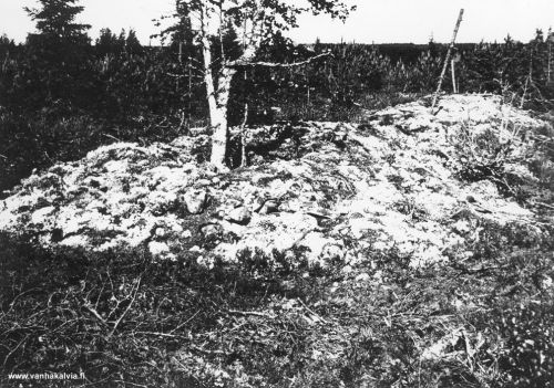 Hautaraunio Pirttisalossa
Pirttisalon pohjoinen valli Saaralan lähellä, edustaa pronssikauden hautaraunioita.
Keywords: Pirttisalo Saarala 