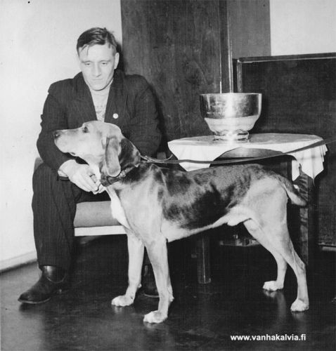 Jussi Pökkä ja Raju
Kuvassa R. J. (Jussi) Pökkä ja ajokuningas Raju. Pökkä oli kotoisin Lapualta ja asui Kaarlelan puolella Runtujärvellä.  Hänen lapsensa kävivät koulua Kälviällä Suonperän koulussa.

Keywords: Pökkä Lapua Runtujärvi Kaarlela