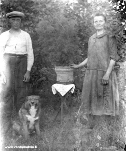 Jaakko ja Edla Vuolle, Hakalan suutari
Jaakko Jeremianp. Vuollet (s. 1.9.1887, Kalliokangas 1) ja Edla Sofia Juhont. Kotka (s. 14.12.1869 k. 23.5.1946, Muuraiskangas 7). Jaakko piti suutarinverstasta ja asui Pajakankaan maalla. Perheessä ei ollut lapsia.



Keywords: Vuollet Kotka 