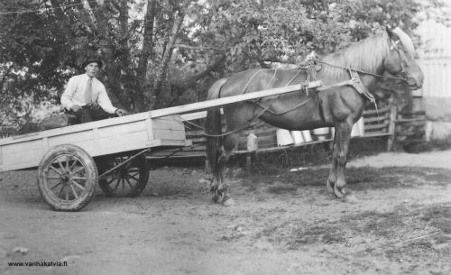 Valde Hakamaa
Kuvassa Kivelän renki Valde Hakamaa 1930-luvulla. Valde oli kotoisin Kauhajoelta.
Keywords: Kivelä Hakamaa Kauhajoki 