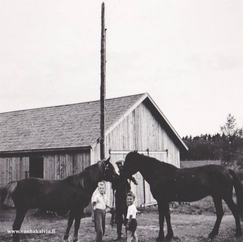 Hankaniemen hevosmiehet
Kuvassa isä Vilho sekä pojat Tapani ja Tuomo (Hassinen 24).
Hevoset nimeltään Pirkko ja Herätys.
Keywords: Hankaniemi
