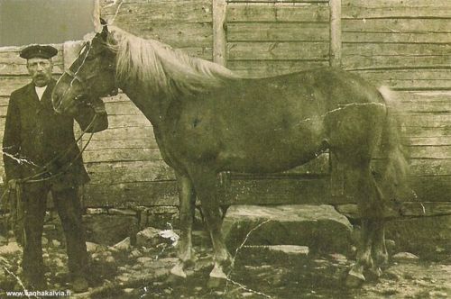 Jooseppi Laakso
Kuvassa hevosensa kanssa Jooseppi Antinpoika Laakso, entinen Maajärvi (1854-1927, Lakso 13).
Keywords: Laakso Lakso Maajärvi